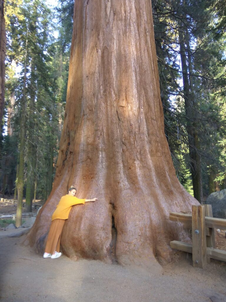 De Las Vegas a San Francisco, pasando por Sequoia Park