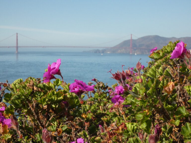 San Francisco